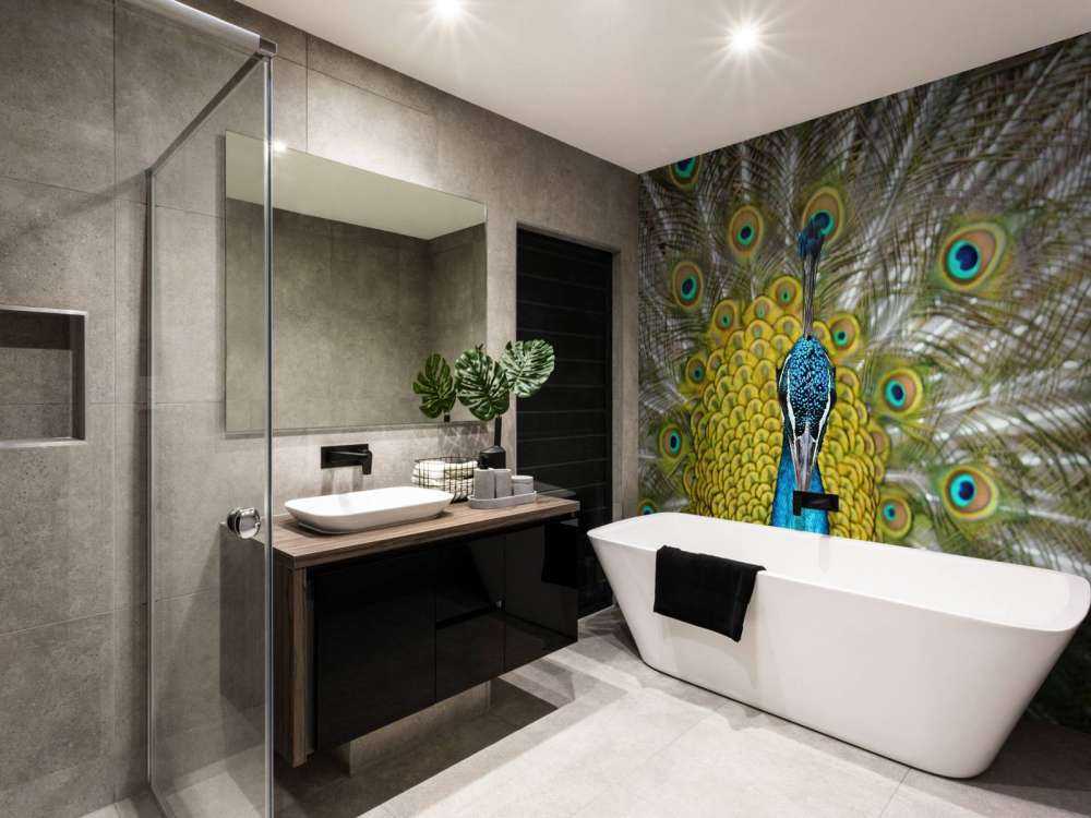 Front view of a peacock